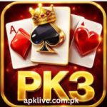 Pak3 Game